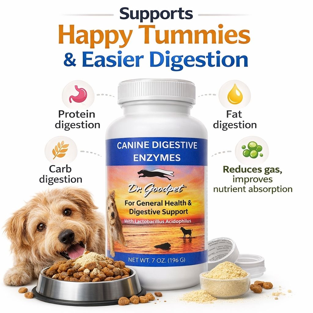 Canine Digestive Enzymes 7 oz