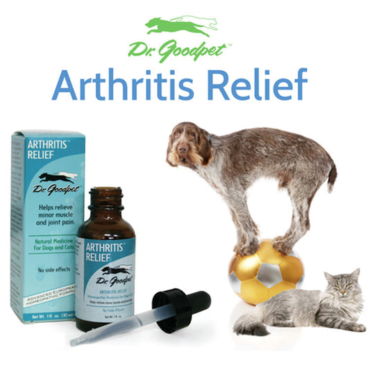 Arthritis Relief 1 oz