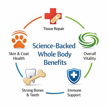 Canine Digestive Enzymes 7 oz