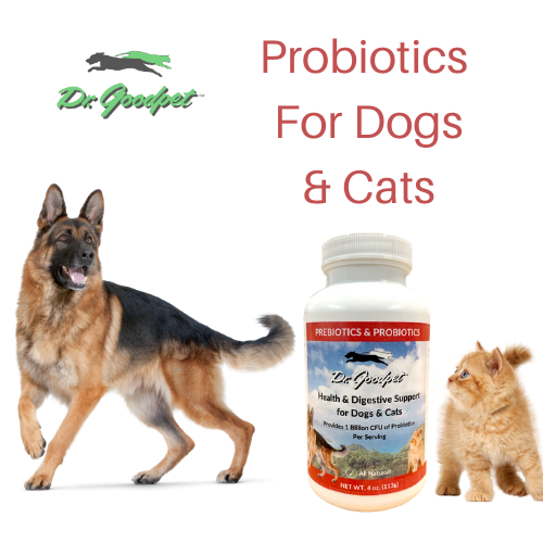 Probiotics/Prebiotics