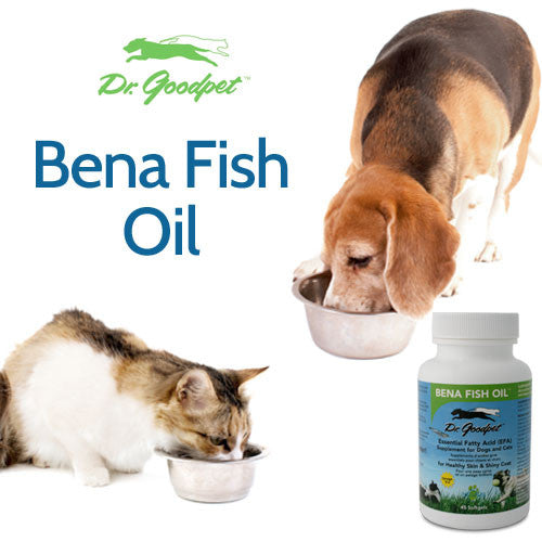 Bena Fish Oil