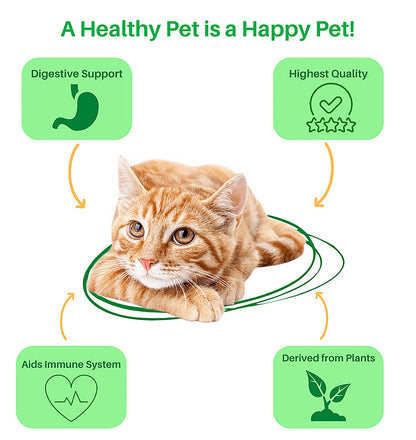 Feline Digestive Enzymes 4 oz