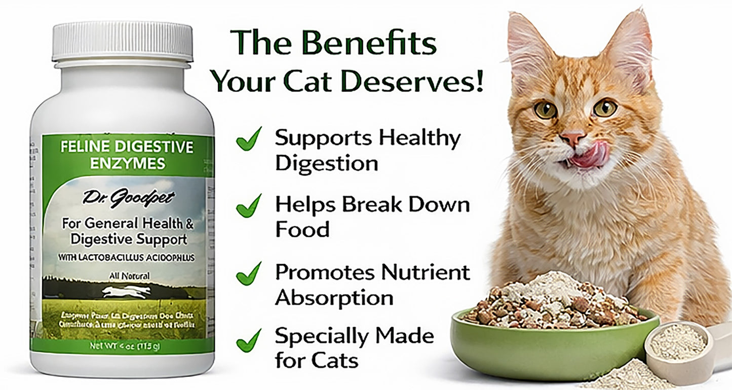 Feline Digestive Enzymes 4 oz