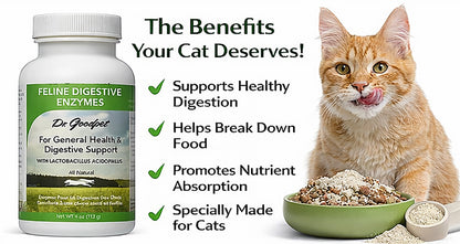 Feline Digestive Enzymes 4 oz