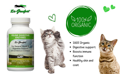 Feline Digestive Enzymes 4 oz