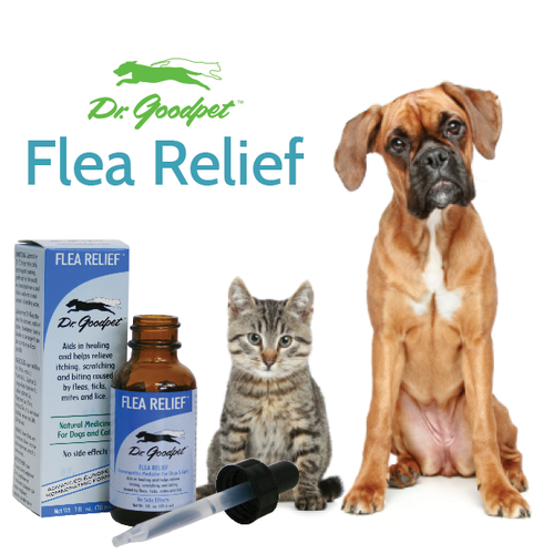 Flea Relief 1 oz