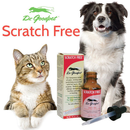Scratch Free 1 oz