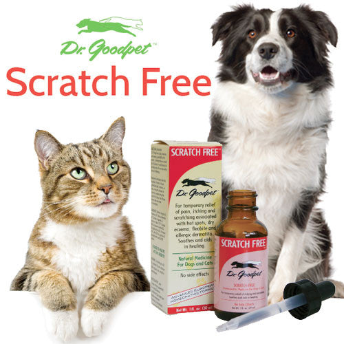 Scratch Free 1 oz